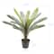 2ft. Premade Potted Sago Palm Plant by Ashland®